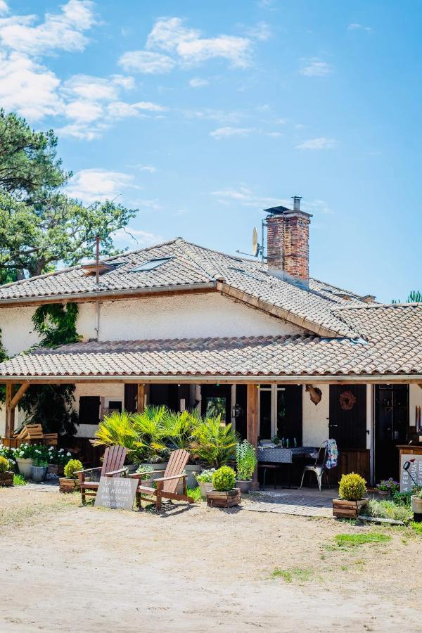 La Ferme Du Miouat Hotell Saint-Julien-en-Born Eksteriør bilde