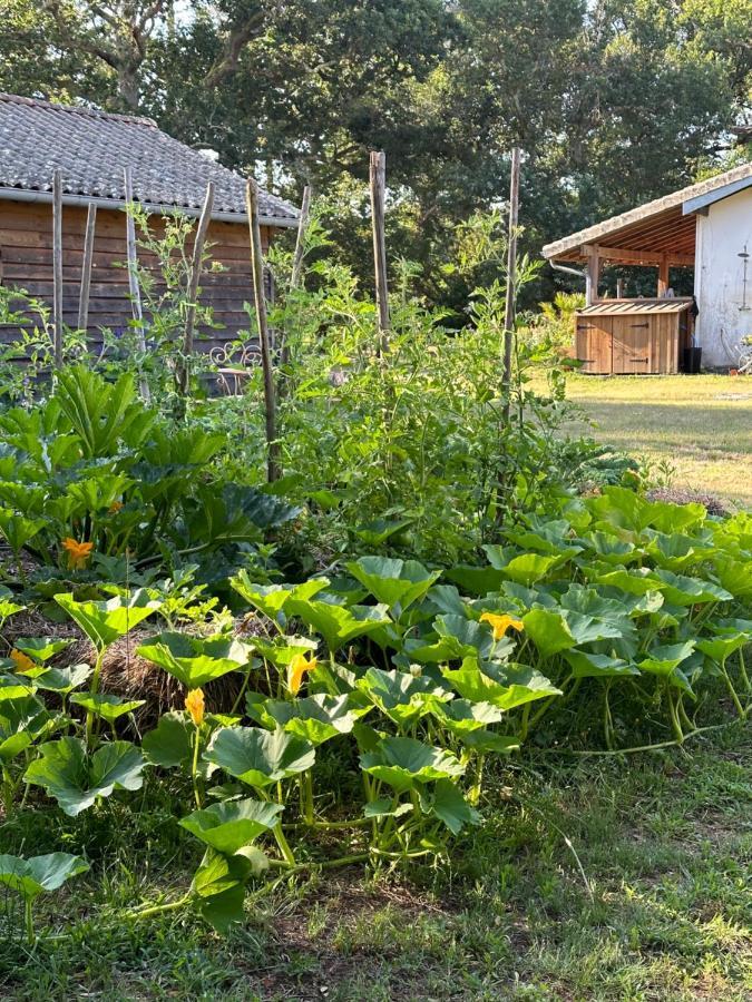 La Ferme Du Miouat Hotell Saint-Julien-en-Born Eksteriør bilde
