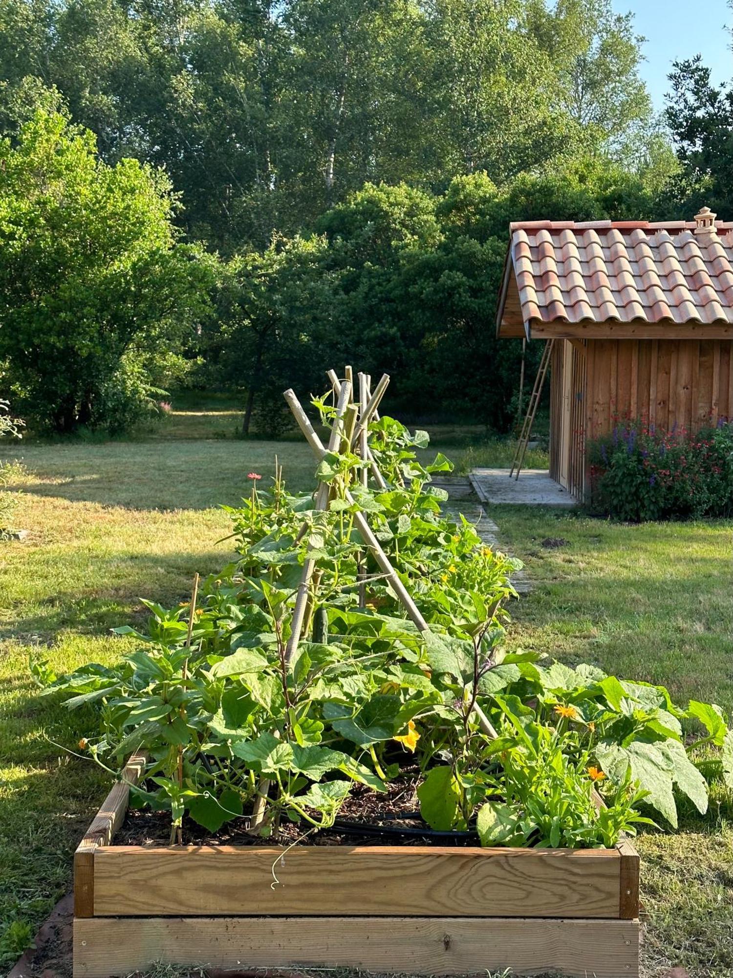 La Ferme Du Miouat Hotell Saint-Julien-en-Born Eksteriør bilde