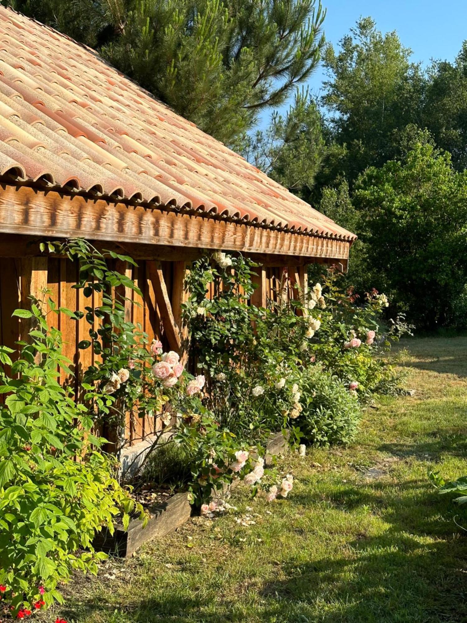 La Ferme Du Miouat Hotell Saint-Julien-en-Born Eksteriør bilde